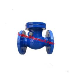 GG25 PN16 Swing Check Valve