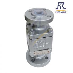 Fluorine Lined Ball Check Valve 