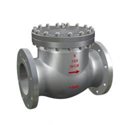 swing check valve