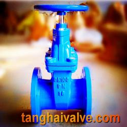 Gate valve  (TH-GTV)