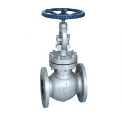 ANSI API Cast Steel And Stainless Steel Globe valve