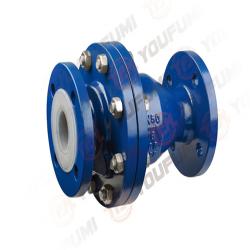 PFA FULL LINED CHECK VALVE